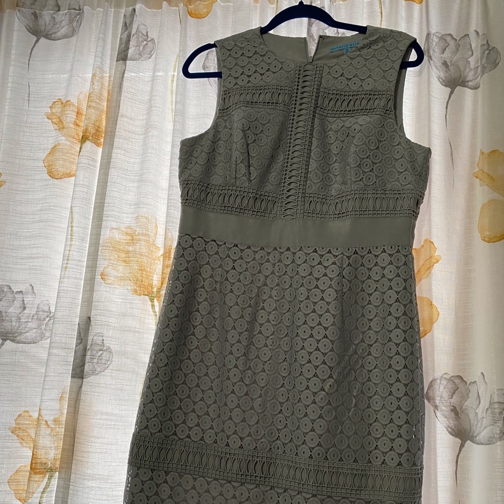 Antonio melani dress
